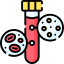 Anemia Iron Studies