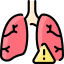 Lungs Respiratory Health