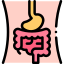 Stomach/Digestive Care
