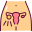 Fertility Female